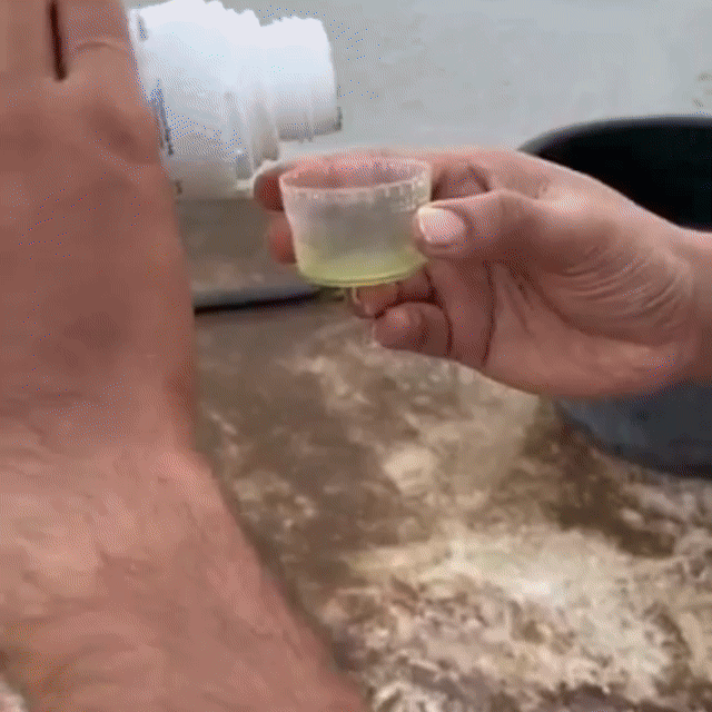 BioGreen Organic Vegetable Booster