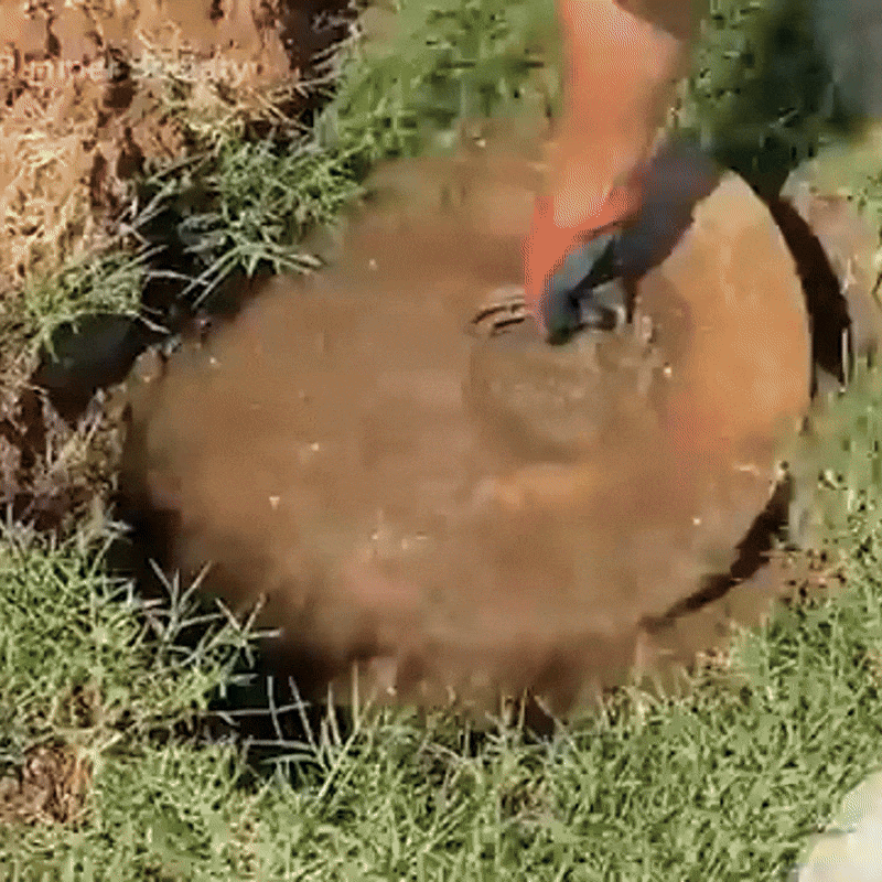 FosaQ Powerful Septic Bioactivator Cleaner