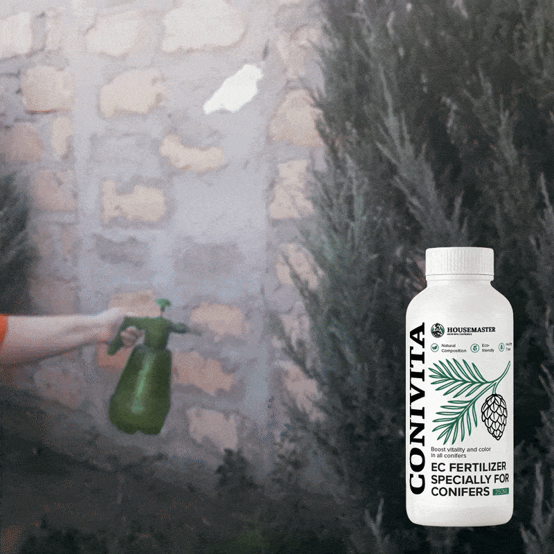 ConiVita Green Boost