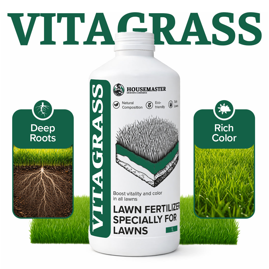 VitaGrass Lawn Revive