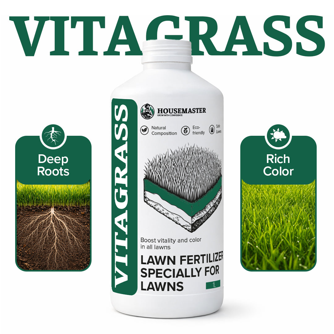 VitaGrass Lawn Revive