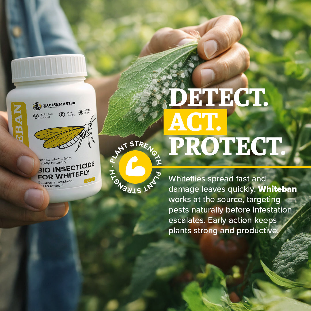 WhiteBan Whitefly Defence