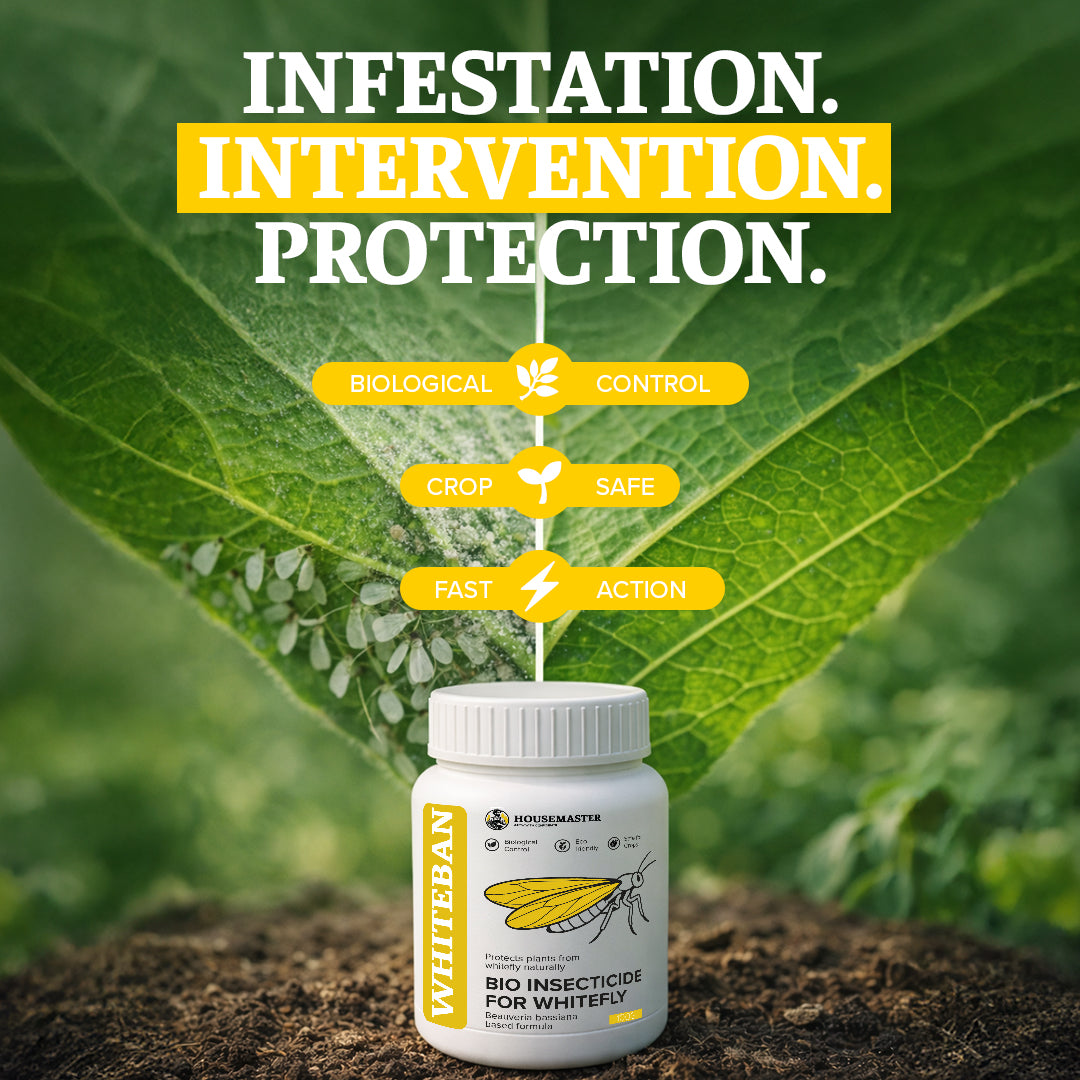 WhiteBan Whitefly Defence