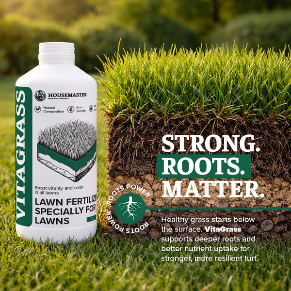 VitaGrass Lawn Revive