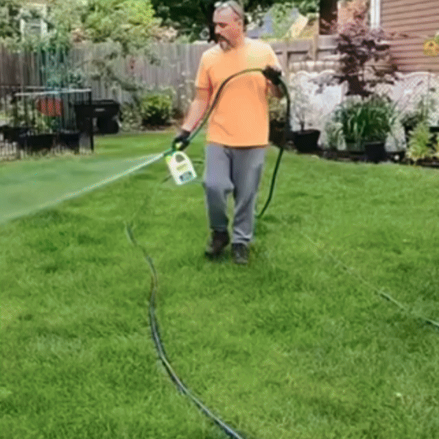 VitaGrass Lawn Revive