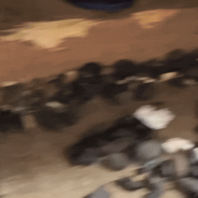 StopRat Home Rodent Defense Spray